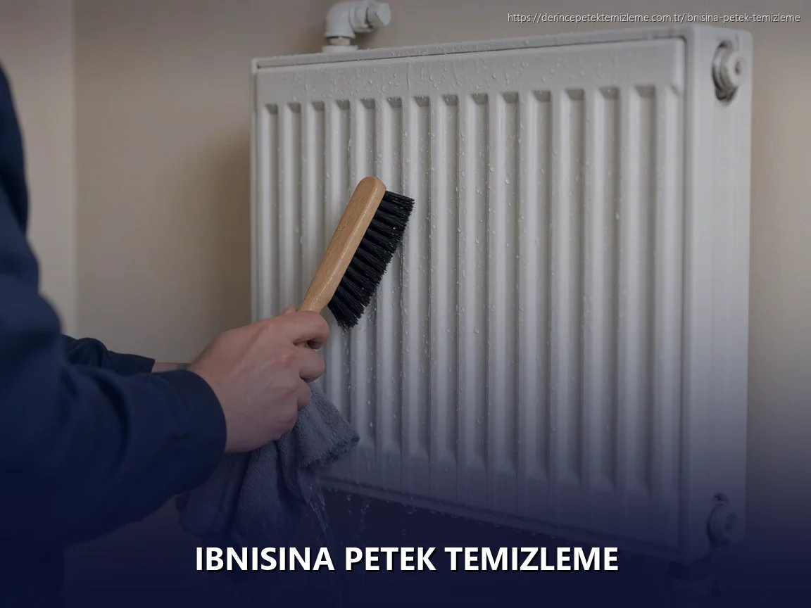 Ibnisina Petek Temizleme